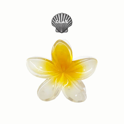 The Shell Claw